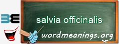 WordMeaning blackboard for salvia officinalis